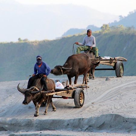Bognot Lodge : Alvin Bognot Mt Pinatubo Guesthouse And Tours Santa Juliana Exteriör bild
