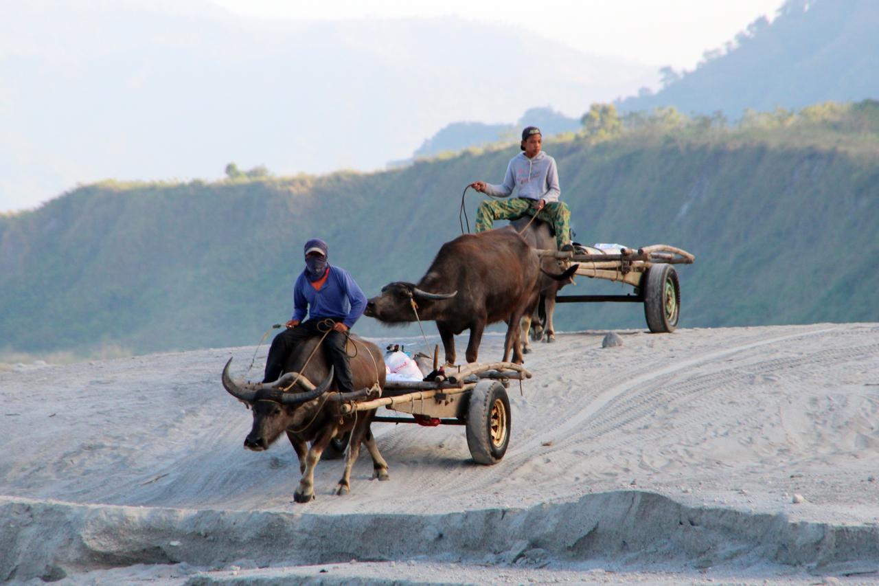 Bognot Lodge : Alvin Bognot Mt Pinatubo Guesthouse And Tours Santa Juliana Exteriör bild